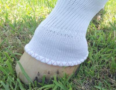 white hoof standing in grass with a sock on