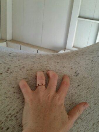 a hand pressing into a horse's back to feel for soreness