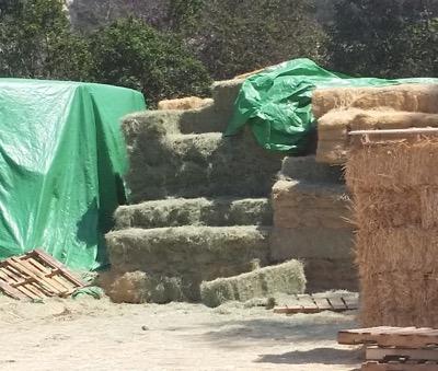 hay stacked outside at a feed store