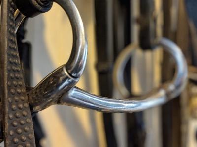 silver mullen mouth bit