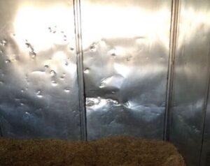 Stall-kicked-by-horse