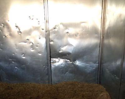 Stall-kicked-by-horse