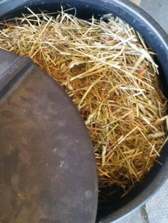 hay steamer lid with steam hay inside
