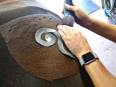 stencil for design on your horse