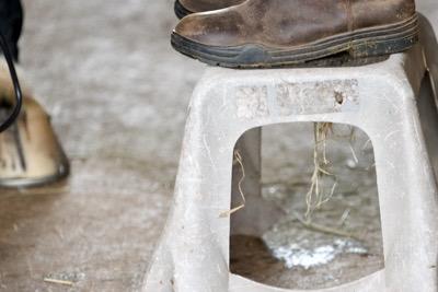 step stool for clipping