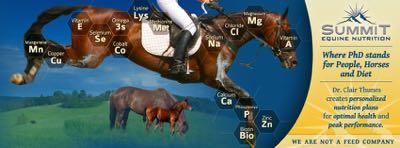 summit equine nutrition banner
