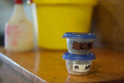 small tupperware tubs for supplements