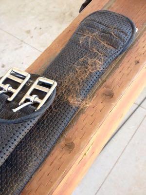 hairy synthetic girth