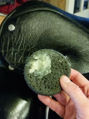 conditioning a dressage saddle with lederbalsam on a sponge