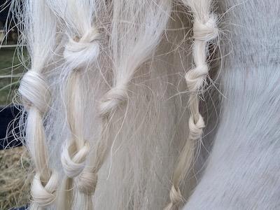 tight knots in a tail