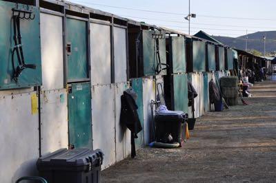 horse show temporary stalls green and white tents