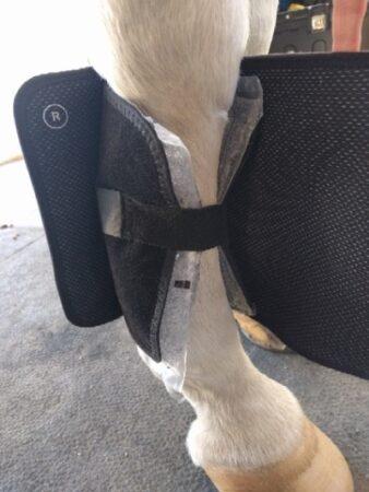 horse wearing front ice boots showing the inner layer and the outer layer