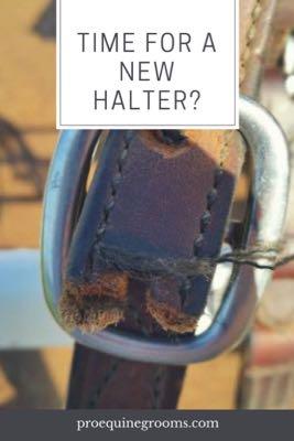 time for a new halter