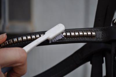 up close toothbrush to clean bridle and browband