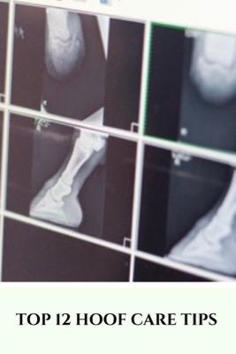 top hoof care tips