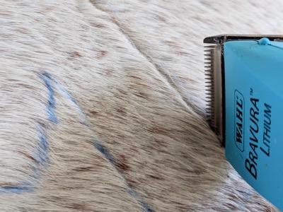 use trimmers to outline a design on your horse