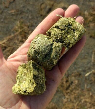 grass hay cubes