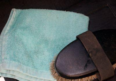 washcloth and tack cleaning brush