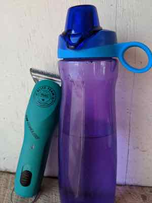 water bottle with lid