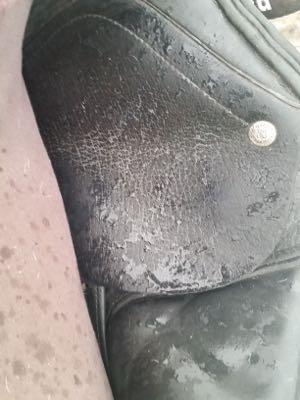 wet saddle