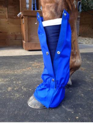 Whinny Wellies from Sox For Horses