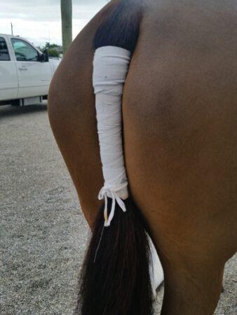 wrapped tail for trailer ride