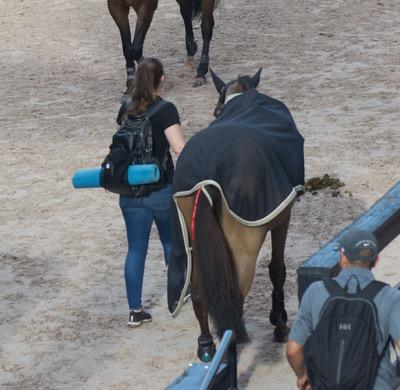 groom with horse and yoga mat