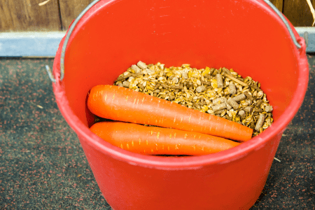 horse food tub with calming supplement and carrot