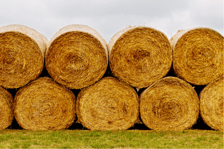 many hay bales stacked in large round bales in a field