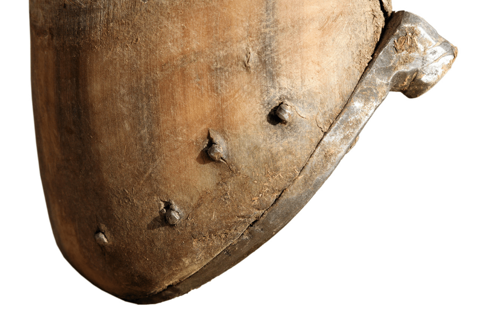 close up of hoof with a heel elevating horse shoe