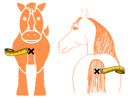 measure a horse for a blanket or sheet