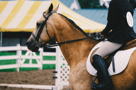 horse at horse show showing tension in face and neck