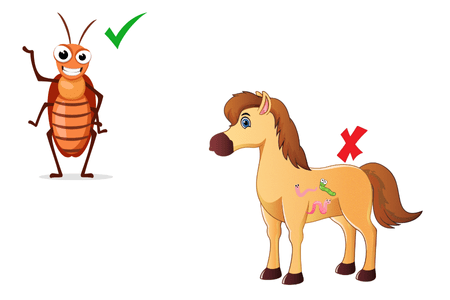 graphic indicating a check mark by a cockroach and a no symbol near a horse with worms
