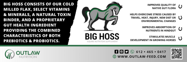 Outlaw Big Hoss banner ad horizontal