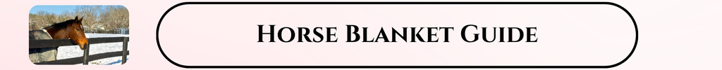 blanketing guide for horses article link
