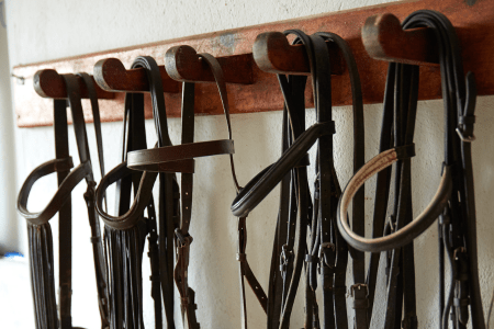 bridles on hooks in a tack room 