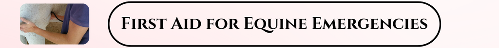 first aid for horses article link