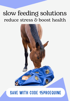 sidebar ad for slow feeders greenguard