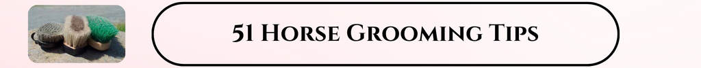 51 grooming tips for horses article link