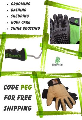 hands on temporary ad to website