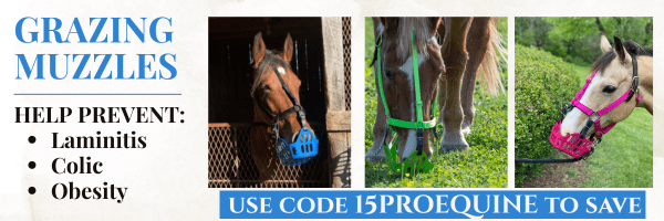 grazing muzzles for horses banner ad