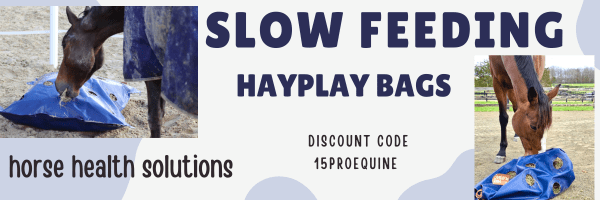 slow feeders for horses banner ad
