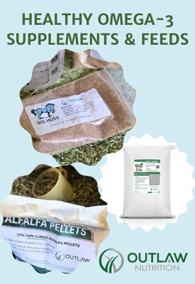 outlaw feed banner ad temporary