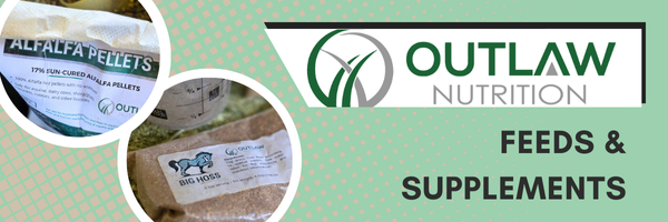 horizontal outlaw big hoss omega supplement ad 2