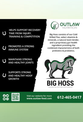 outlaw black banner ad