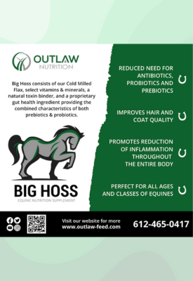 outlaw green banner ad