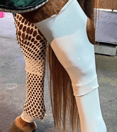 Equine sleeve for legs and hocks