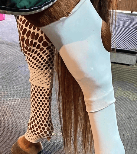 Equine sleeve for legs and hocks