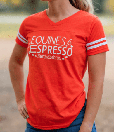 herd of zebras t-shirt