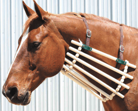 neck cradle for horses 